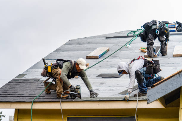 Professional Roofing technician working in Worley, ID